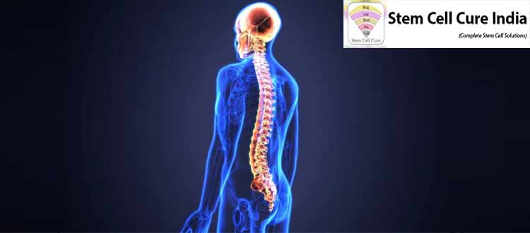 spinal cord treatment in india