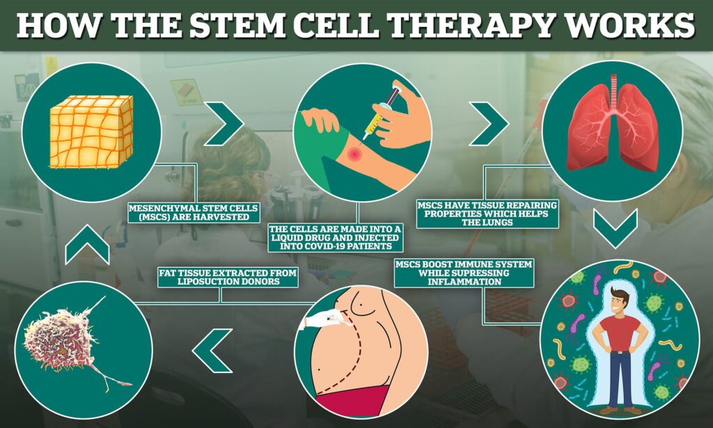 stem cell treatment in india