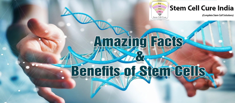 Interesting-facts-about-stem-cells