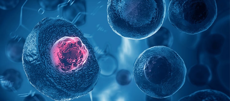 stem cell treatment in india