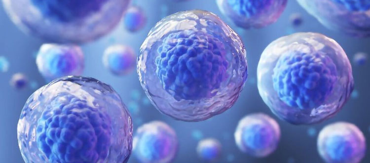 stem cell therapy in india
