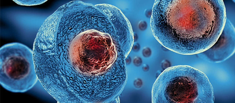 stem cell treatment in india