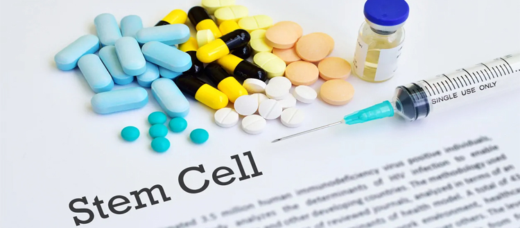 stem cell treatment in india