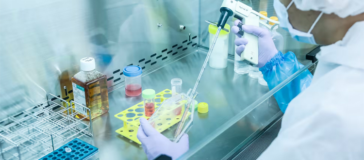 stem cell