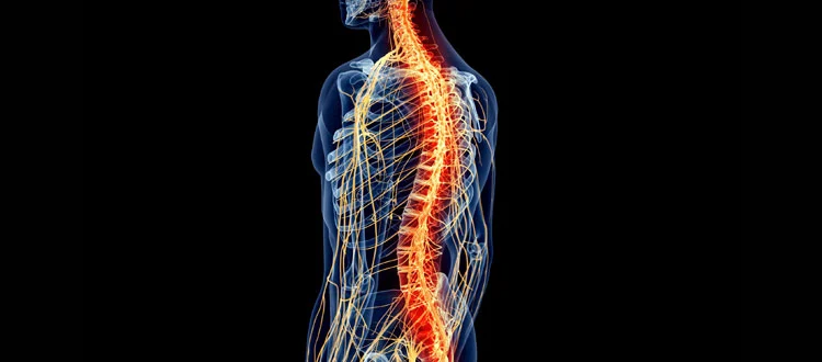 spinal-cord-injury