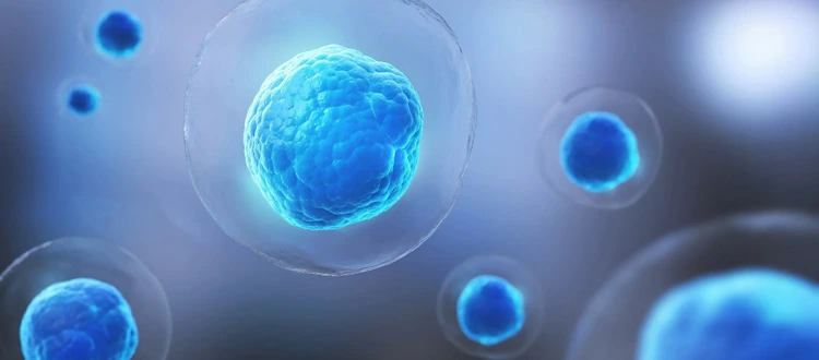 stemcell therapy