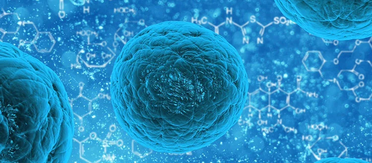 stem-cell