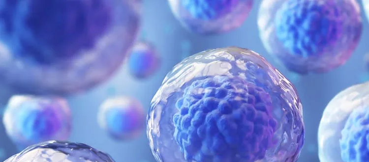stem cell treatment