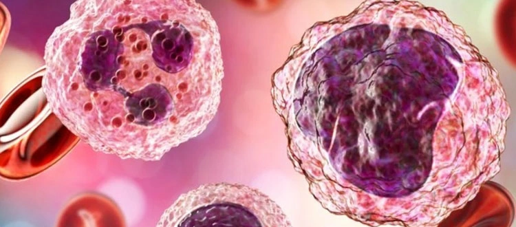 stem-cell-therapy