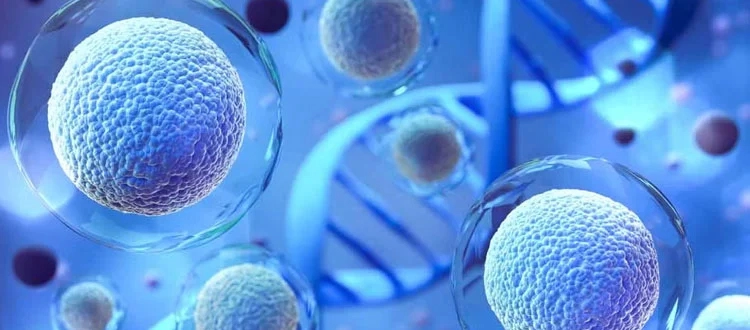 stem cell therapy