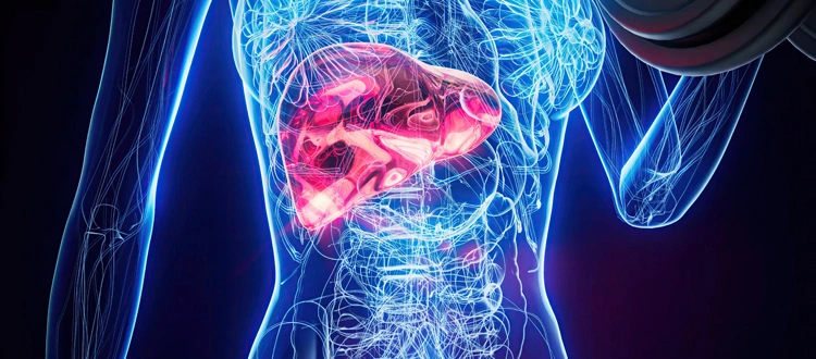 stemcellcure liver