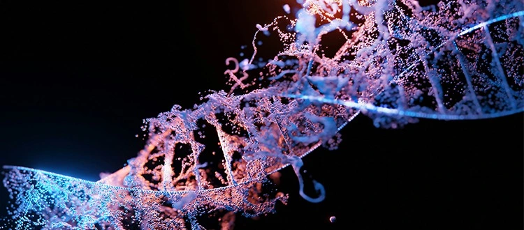 stem cell therapy