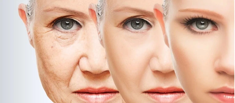 anti aging