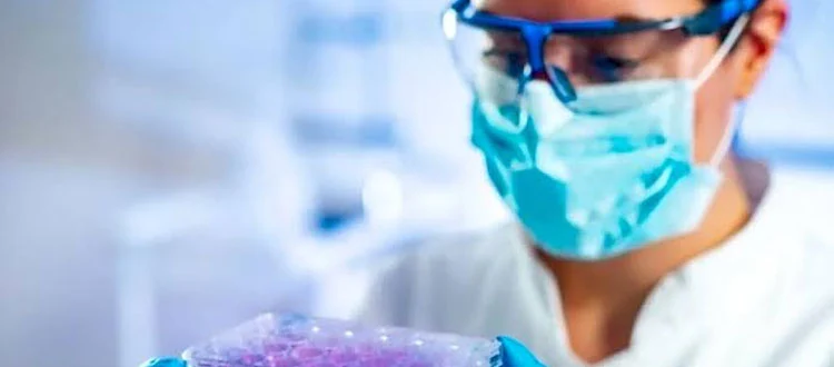 stem cell