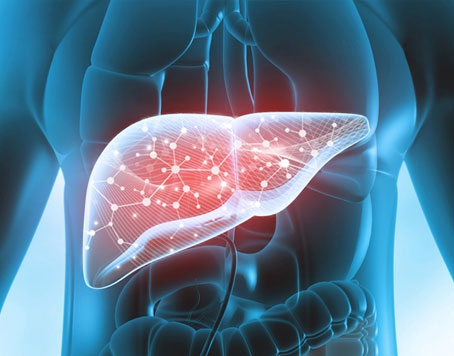 Stem Cell Treatment for Liver Cirrhosis