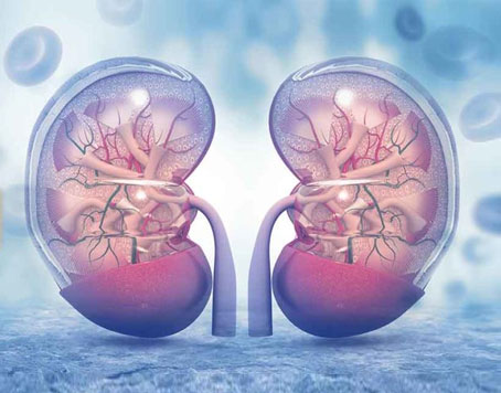 Kidney disease Treatment in bangladesh