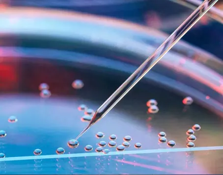 Stem Cell Therapy in bangladesh
